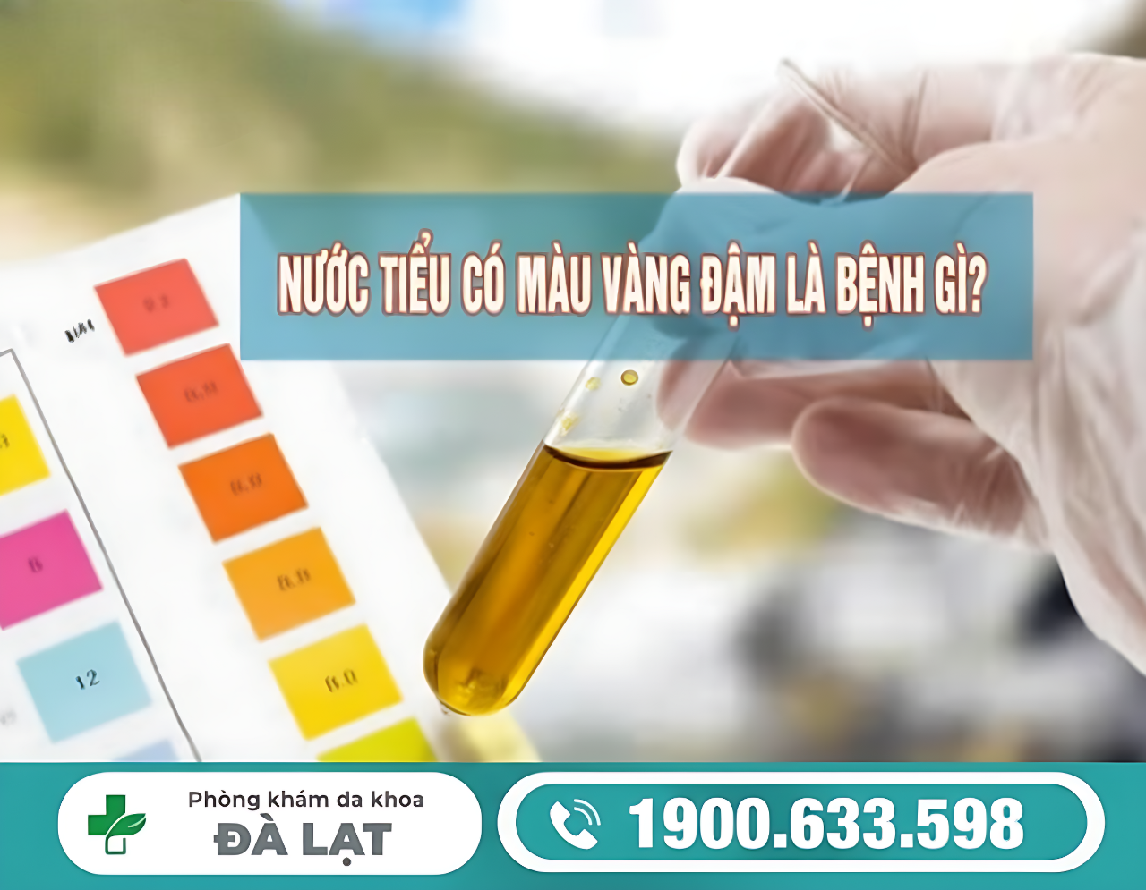 Hình ảnh minh họa